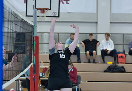 TSV Spandau vs Tempelhof-Mariendorf